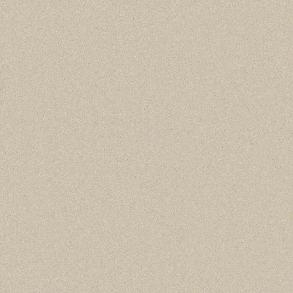 Cream plush carpet with soft, even texture in a cozy living room setting | Home Centre Direct UK
