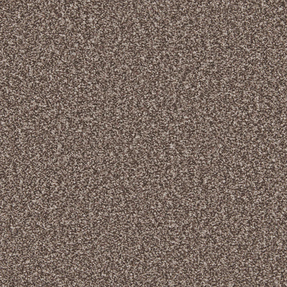 Peppercorn textured carpet with dense looped pile | Home Centre Direct UK