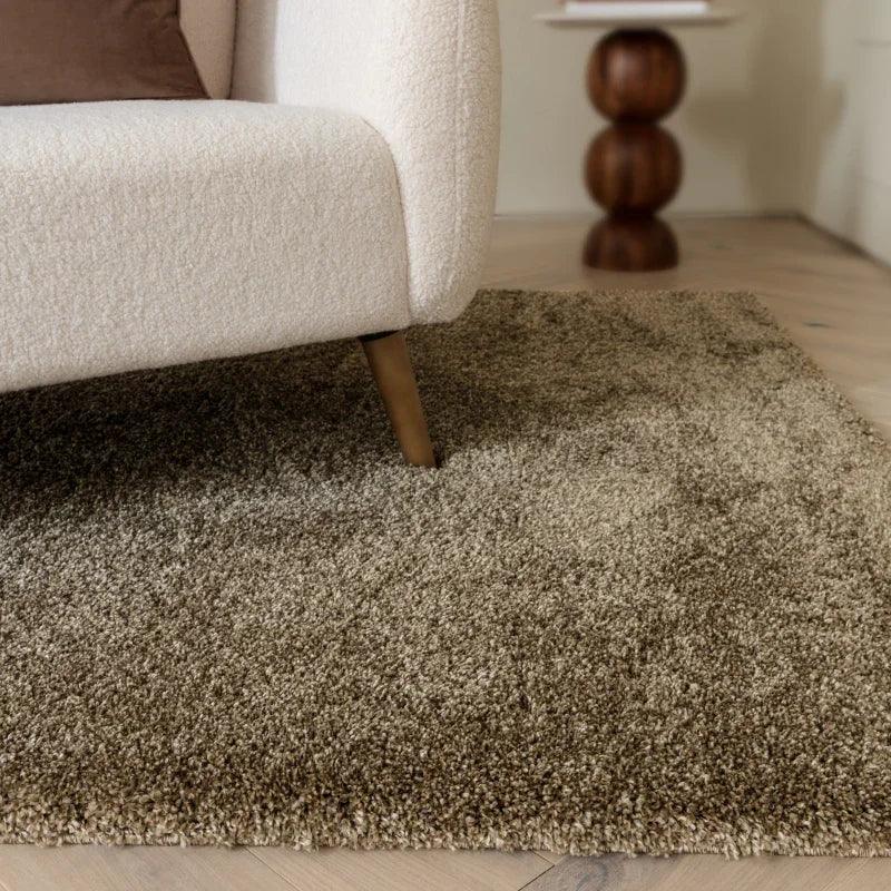 Shaggy beige area rug under cream fabric sofa in modern living room