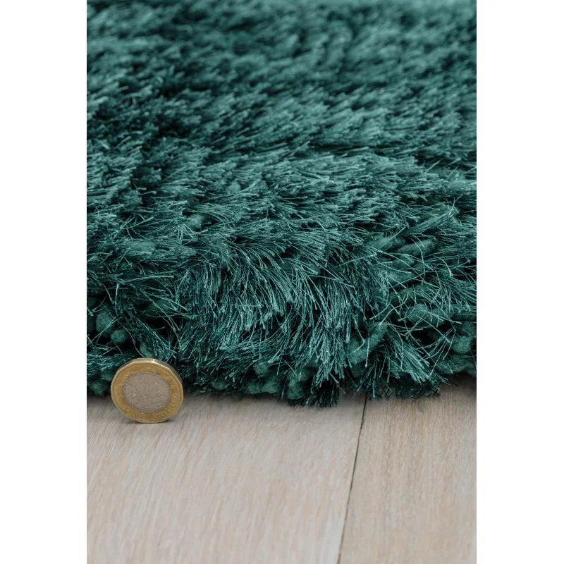 Teal shaggy rug close-up on wood floor showing thick pile next to a coin for thickness
