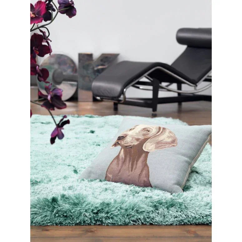Light green shaggy rug with dog print cushion and black leather chaise lounge in living room