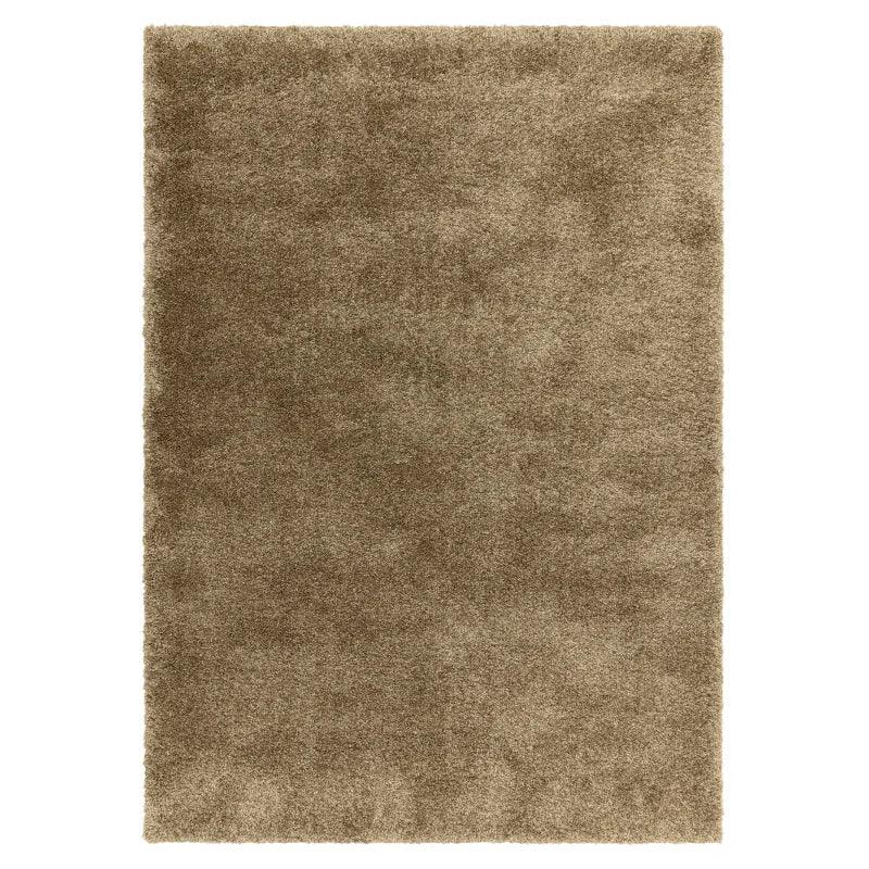 Beige shaggy area rug with soft texture, rectangular shape, top view