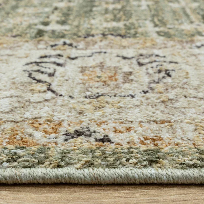 Close view of patterned area rug with soft pile and green beige border on wooden floor