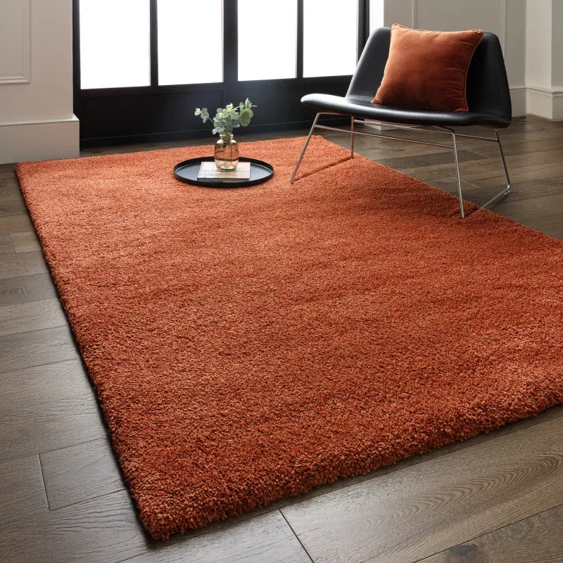 Rust shaggy rug on wooden floor with black accent chair and orange cushion by large window