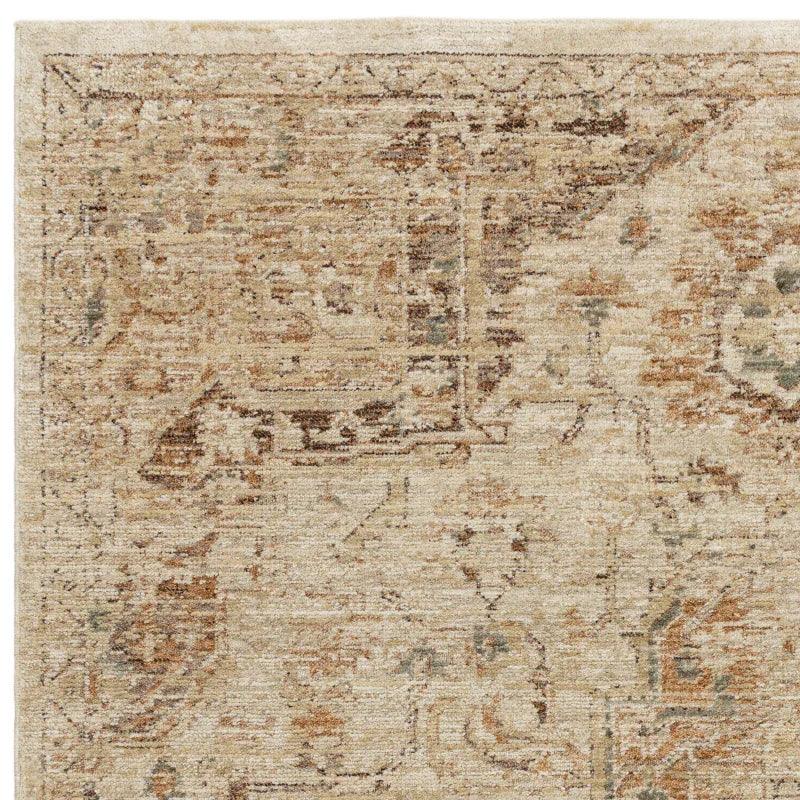 Beige patterned area rug with distressed vintage design and subtle brown accents, close-up view