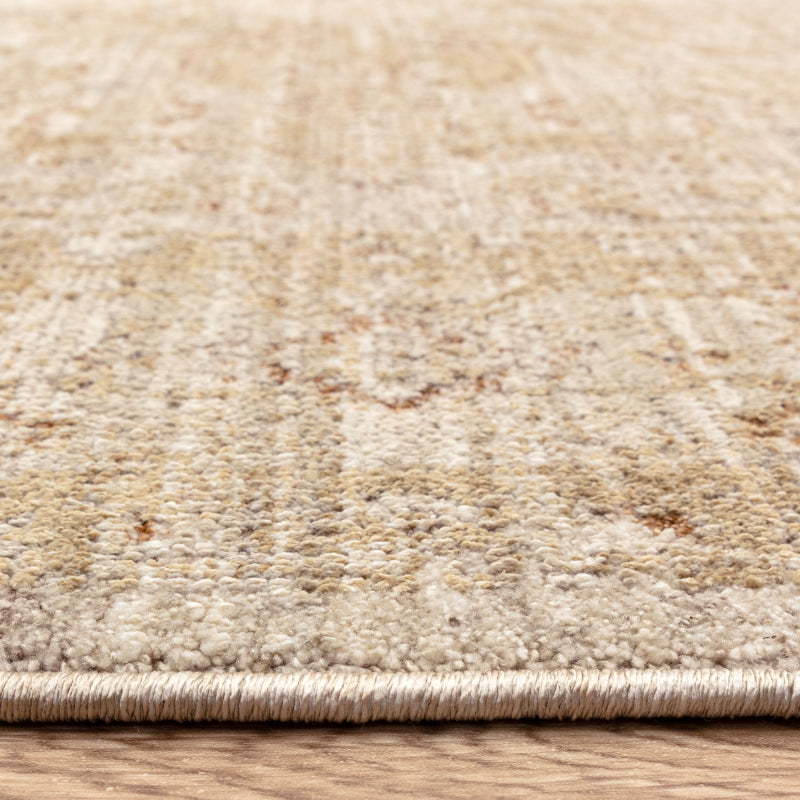 Heriz Serapi Beige Rug - Image 4