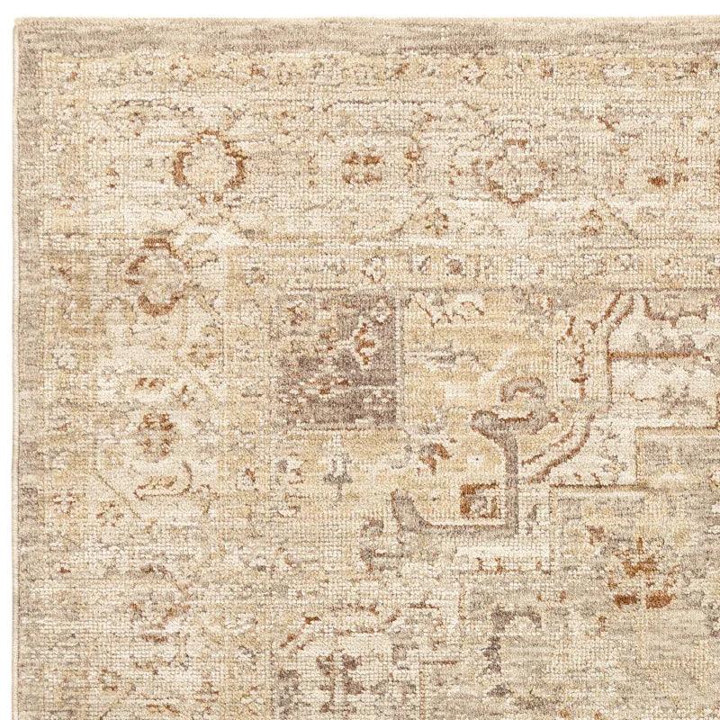 Beige patterned area rug with distressed vintage design and subtle brown accents
