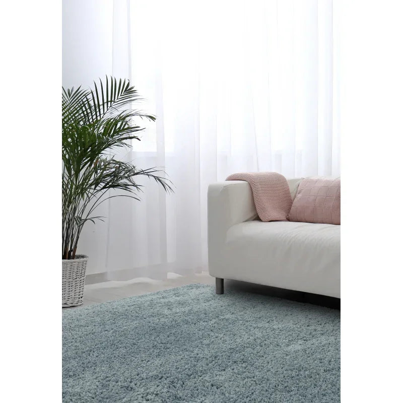 Shaggy blue area rug with white sofa, pink cushions and indoor plant in bright living room