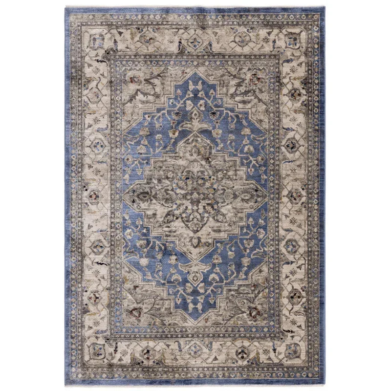 Blue and beige patterned area rug with ornate central medallion and decorative border