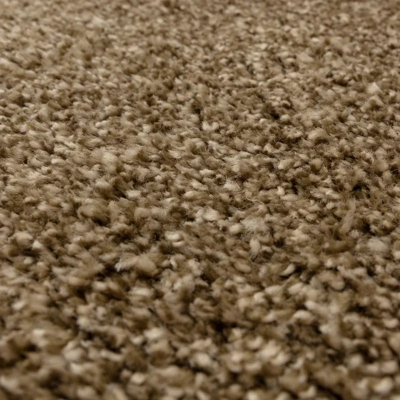 Textured brown carpet close up showing soft pile material