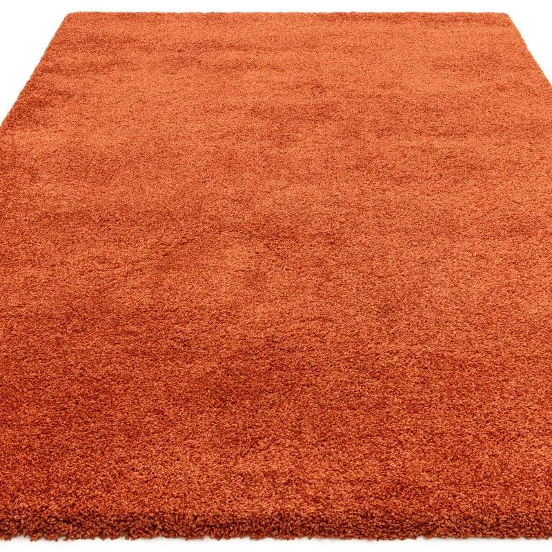 Rust orange shaggy rug with deep pile texture, shown from overhead angle