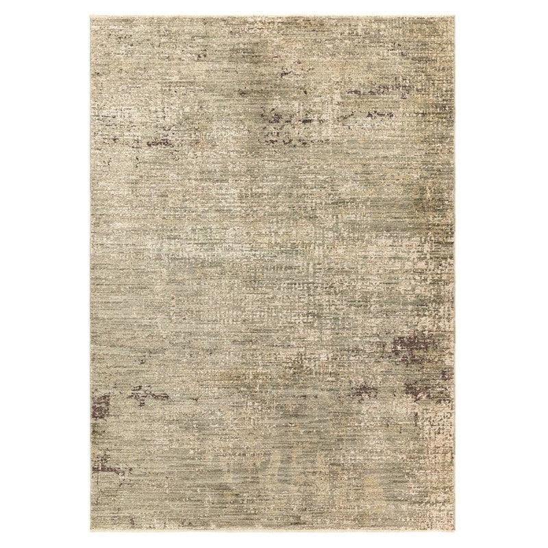 Beige area rug with distressed vintage pattern and textured finish