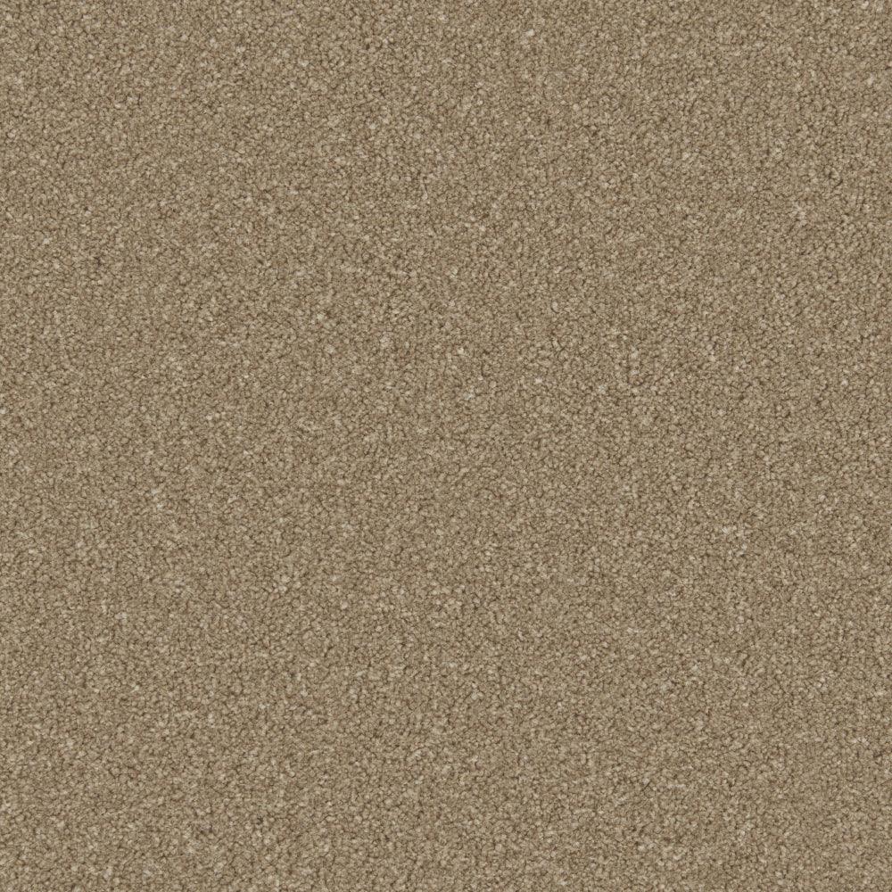 Dark taupe carpet with dense, even texture in a soft pile finish | Home Centre Direct UK
