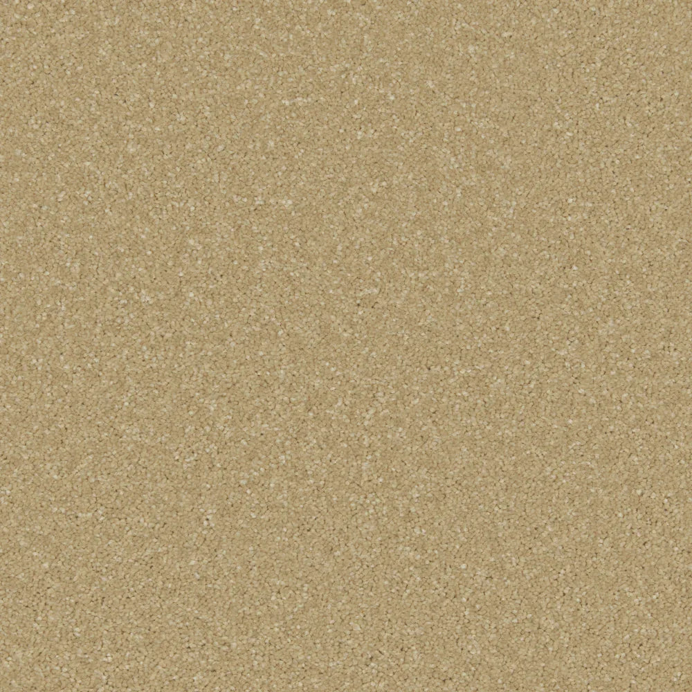 Warm sandy beige carpet with fine speckled texture | Home Centre Direct UK