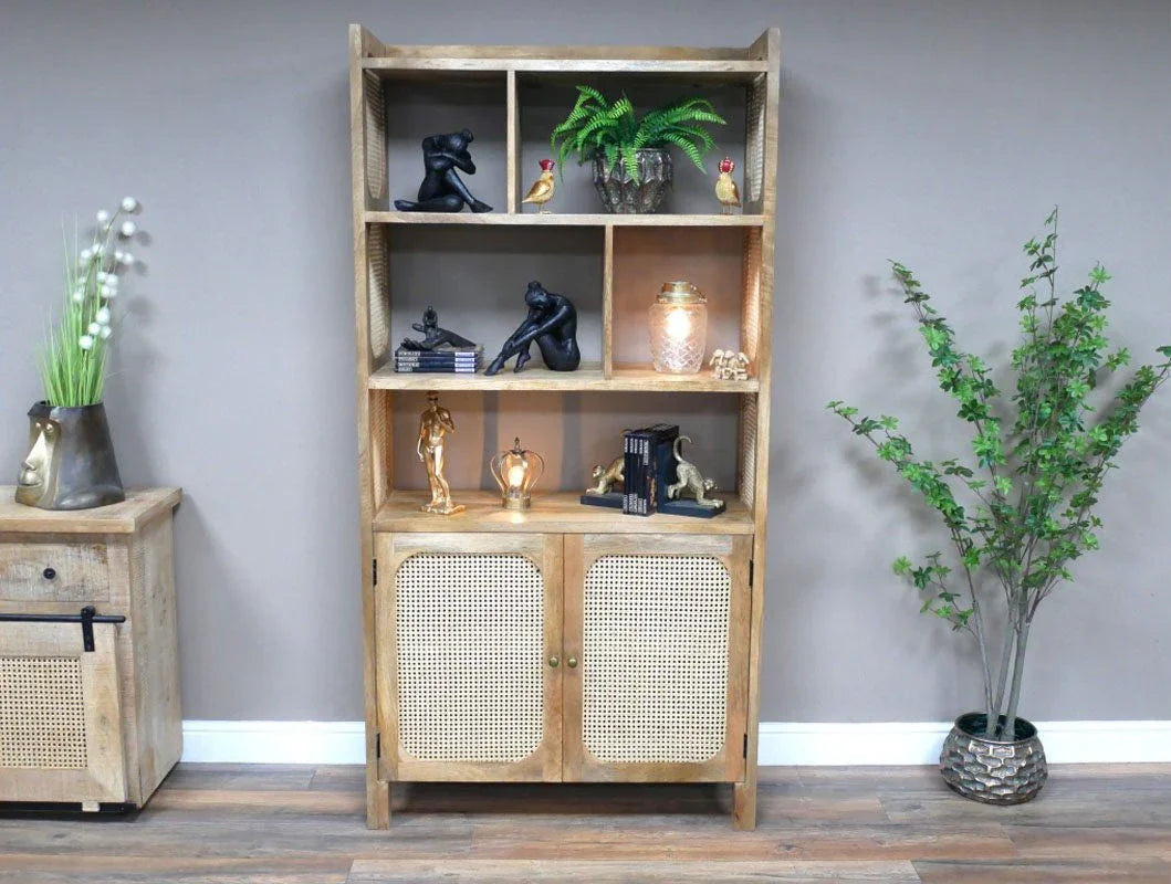 Buy wooden display cabinet with cane doors and decor online, modern shelving unit for home
