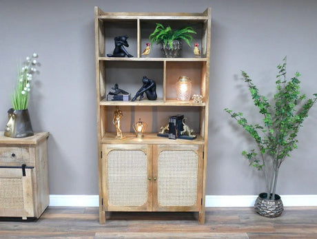 Buy wooden display cabinet with cane doors and decor online, modern shelving unit for home