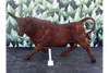Rusty Bull - 1030