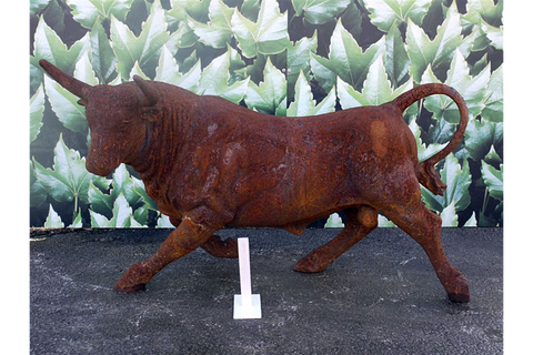 Rusty Bull - 1030
