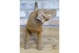 Small Cast Iron Rusty Dog (Tail Up) - 11215
