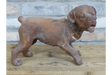 Small Cast Iron Rusty Dog - 11481