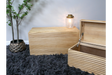 Set of two light wood storage boxes with carved horizontal grooves, one open, shown on black shaggy rug with potted plant.