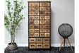 Tall wooden storage cabinet with multiple small drawers, black metal frame, standing on dark shaggy rug between plant and