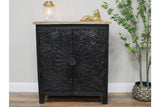 2 Door Cabinet