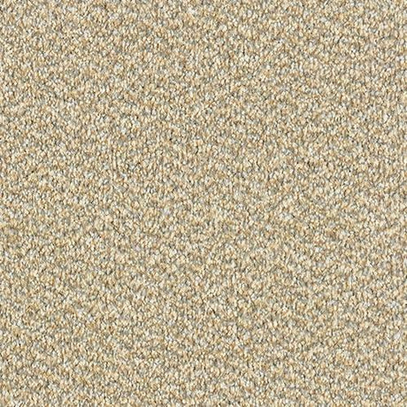Tweed Cool Beige Carpet - Cool Beige / 2.5m