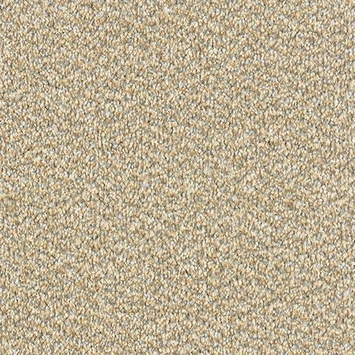 Tweed Cool Beige Carpet - Cool Beige / 2.5m