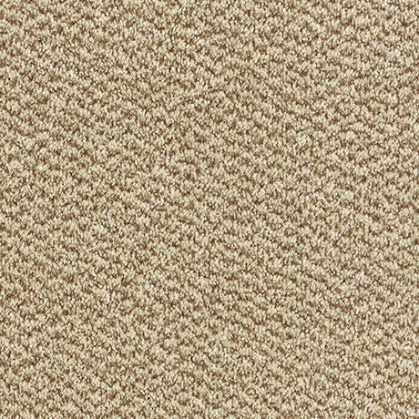 Tweed Taupe Carpet - Taupe / 2.5m