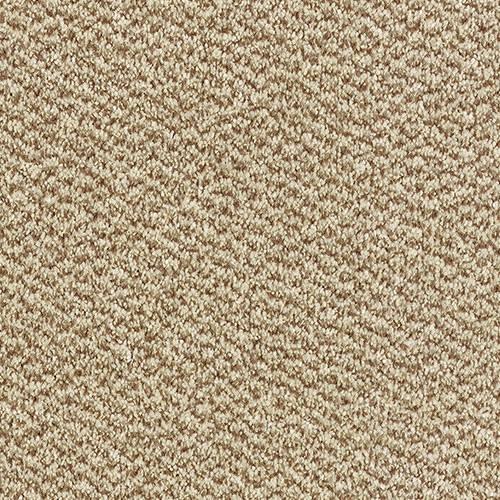 Tweed Taupe Carpet - Taupe / 2.5m