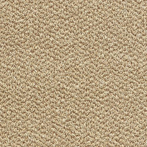 Tweed Harvest Carpet - Harvest / 2.5m