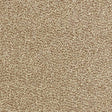 Tweed Moleskin Carpet - Moleskin / 2.5m