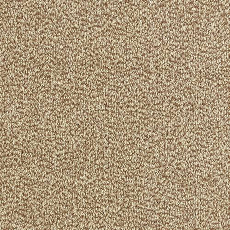 Tweed Moleskin Carpet - Moleskin / 2.5m