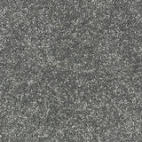 Satin Touch Satine Carpet - Satine / 2.5m