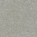 Satin Touch Velvet Carpet - Velvet / 2.5m