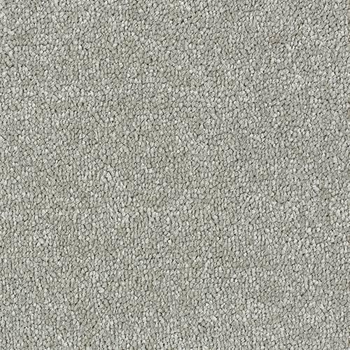 Satin Touch Velvet Carpet - Velvet / 2.5m