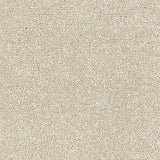 Satin Touch Calico Carpet - Calico / 2.5m