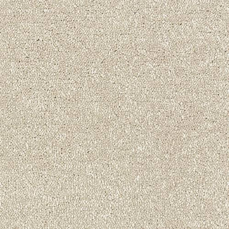 Satin Touch Calico Carpet - Calico / 2.5m