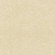 Satin Touch Lace Carpet - Lace / 2.5m
