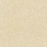 Satin Touch Lace Carpet - Lace / 2.5m