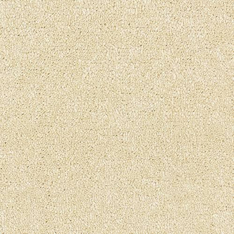 Satin Touch Lace Carpet - Lace / 2.5m
