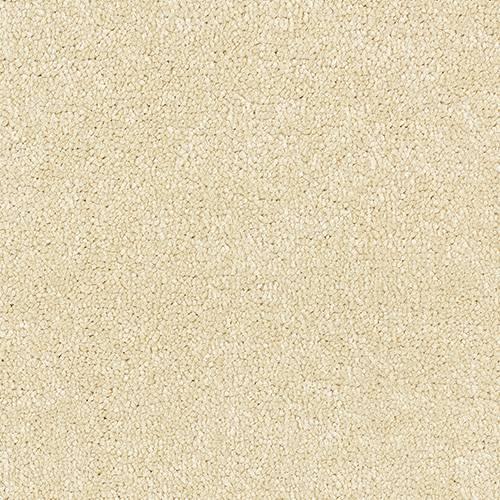 Satin Touch Lace Carpet - Lace / 2.5m