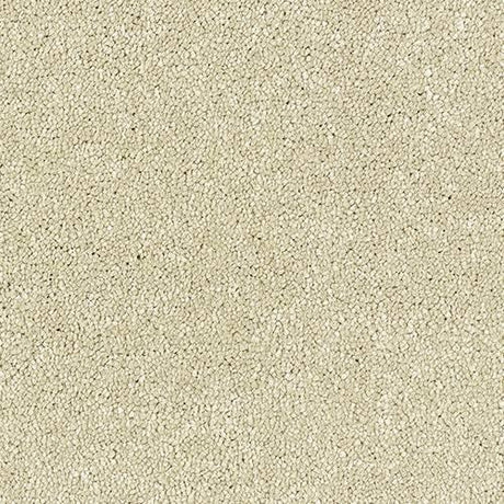 Satin Touch Cotton Carpet - Cotton / 2.5m
