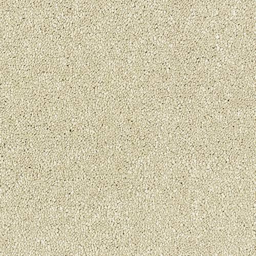Satin Touch Cotton Carpet - Cotton / 2.5m