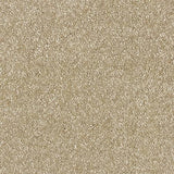 Satin Touch Chenille Carpet - Chenille / 2.5m