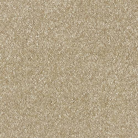 Satin Touch Chenille Carpet - Chenille / 2.5m