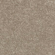 Satin Touch Cashmere Carpet - Cashmere / 2.5m