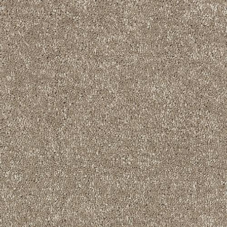 Satin Touch Cashmere Carpet - Cashmere / 2.5m