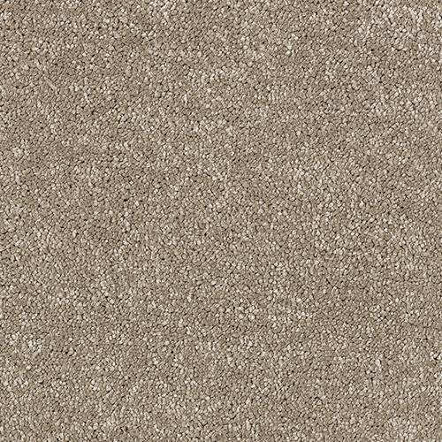 Satin Touch Cashmere Carpet - Cashmere / 2.5m